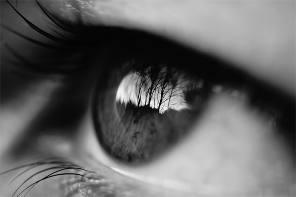 Human Eye Free Photo